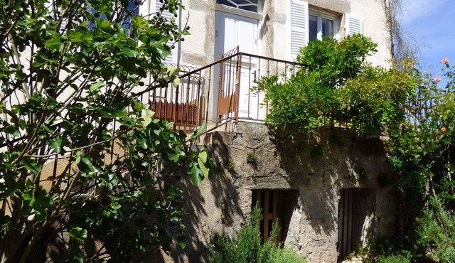 Cozy holiday home on large plot