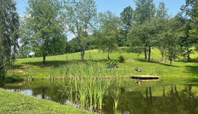 Cozy home in a peaceful country setting with stocked pond. Relax and unwind.