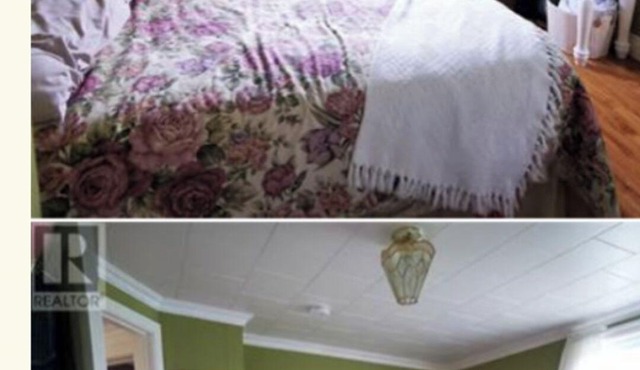 Cozy home in moretons harbour.