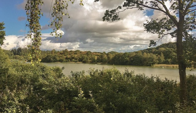 Cozy home in Ejstrupholm with kitchen