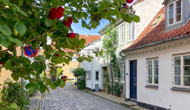 Cozy home in Faaborg with WiFi