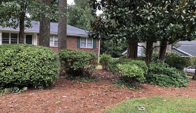 Cozy Home in Great Neighborhood