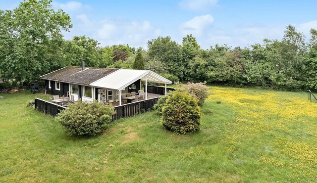 Cozy home in Jerup with WiFi