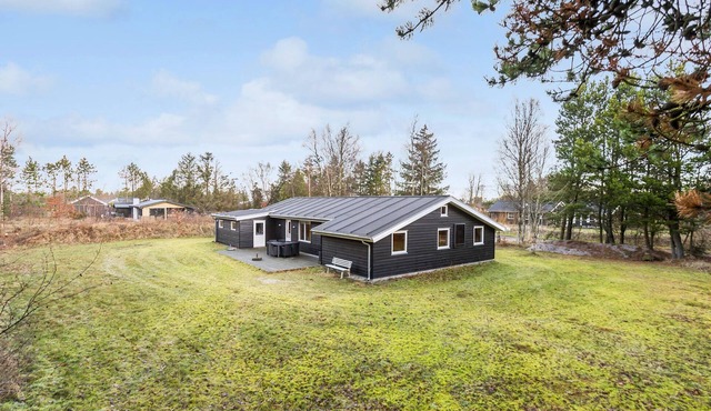 Cozy home in Jerup with WiFi