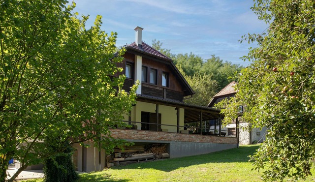 Cozy home in Petrinja with house a panoramic view