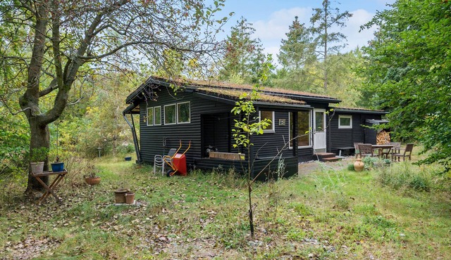 Cozy home in Stege with WiFi