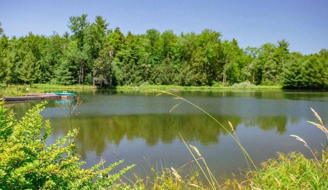 Cozy home on17acres, overlooking large private pond w/heated pool, and hot tub.