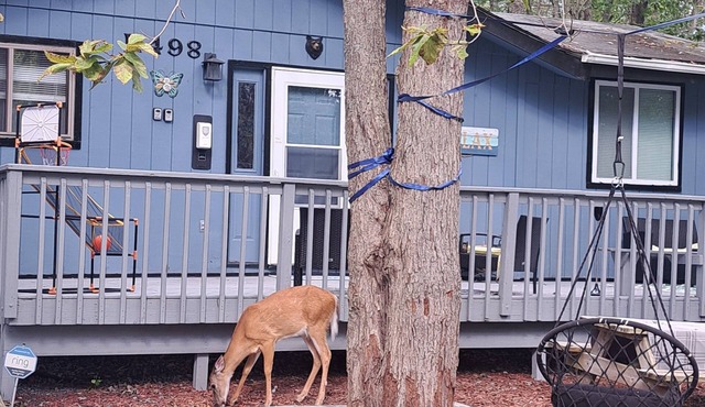 Cozy Home w/Amenities/Games/Tv In All Rooms/Pooltable/Camelback Ski Nearbyn