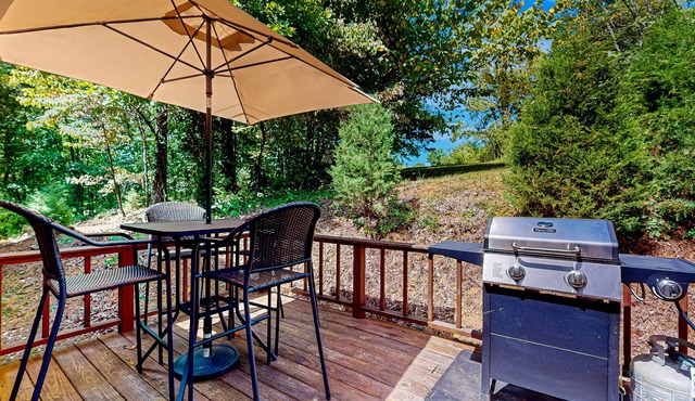 Cozy home w/large yard, games, close to Douglas Lake - free attraction tickets