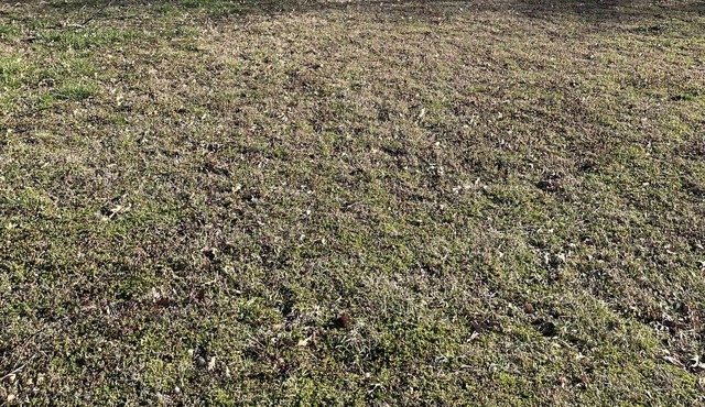 Cozy home with deck. Just 2 miles from Joplin Airport