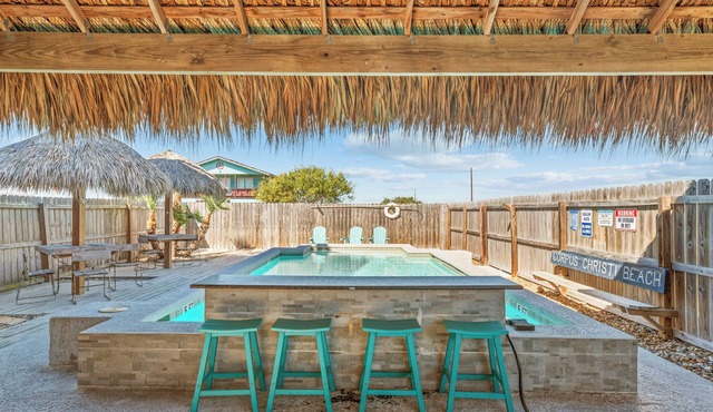 Cozy home with Harbor Bridge & Ocean views. Close to Beach