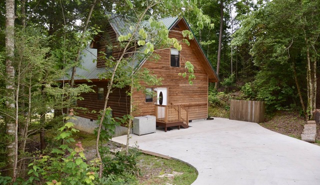 Cozy Homestyle Cabin located in the arts district! Trolly stop on our corner!