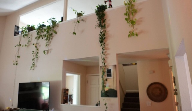 Cozy House + Adventure Pad to Downtown Denver or the Rockies