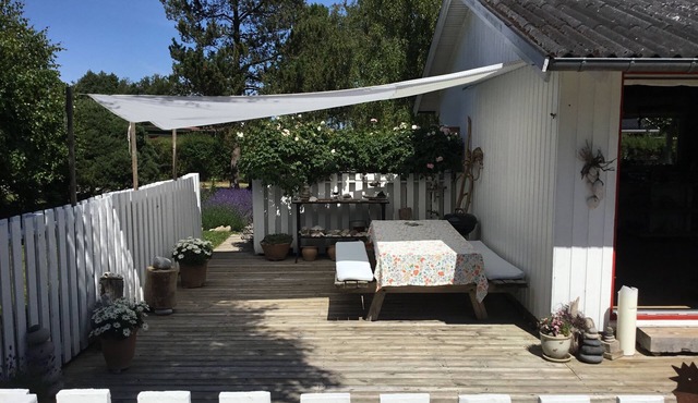 Cozy house at Denmark's best beach - Wifi/GoogleTV