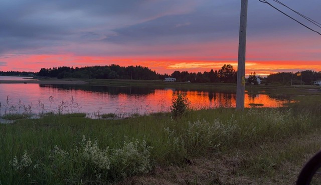 cozy house down the bay