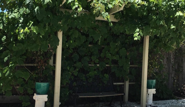Cozy House, Huge Backyard, the heart of Temecula