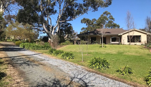 Cozy house in the vineyard
