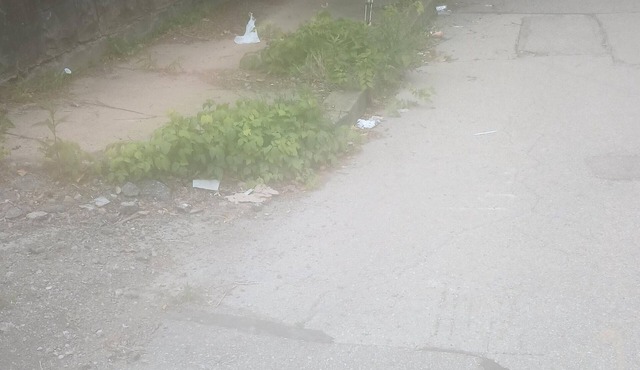 Cozy house on corner lot with a big yard.