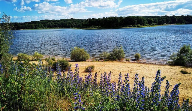 Cozy house with private terrace in Sanchey