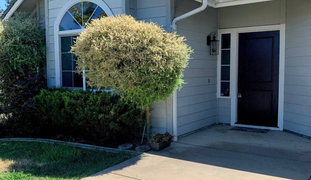 Cozy house with stunning views