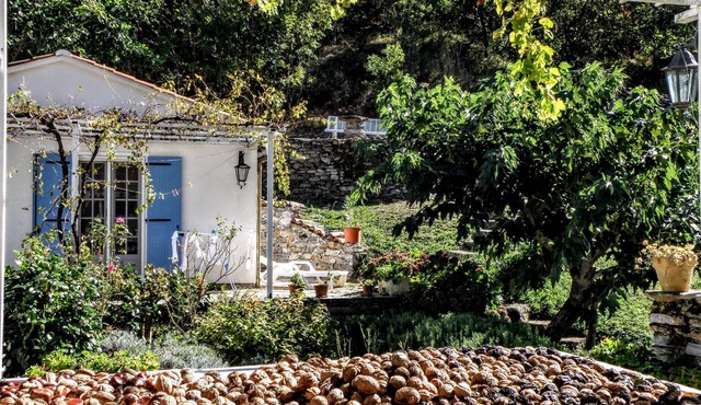 Cozy house with swimming pool surrounded by nature's beauty