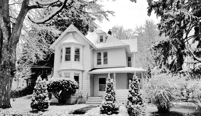 Cozy Hudson Valley 1880 Carriage House with FIRE PLACE