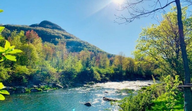 Cozy Hunter Mountain Cabin by the River