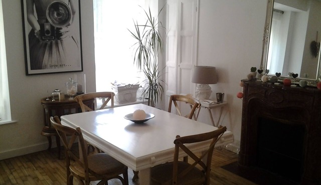 Cozy hyper-center apartment