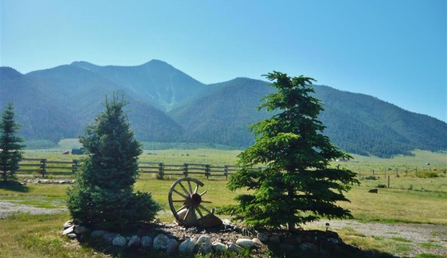 Cozy Immaculate Cabin - Peaceful Retreat!