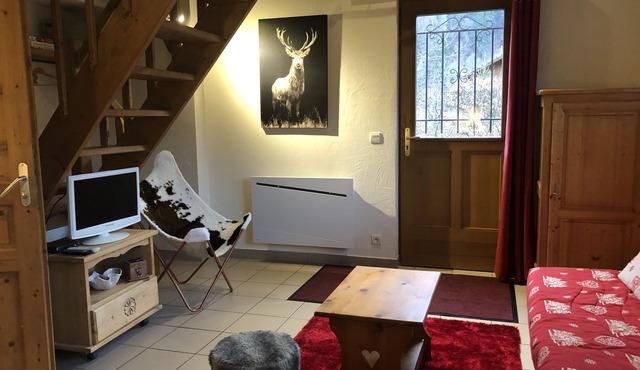 COZY INDIVIDUAL CHALET WITH GARDEN FOR 4 people in GRAND MASSIF