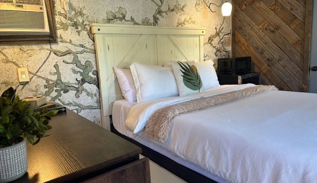 Cozy inner-loop guest house. A city retreat!