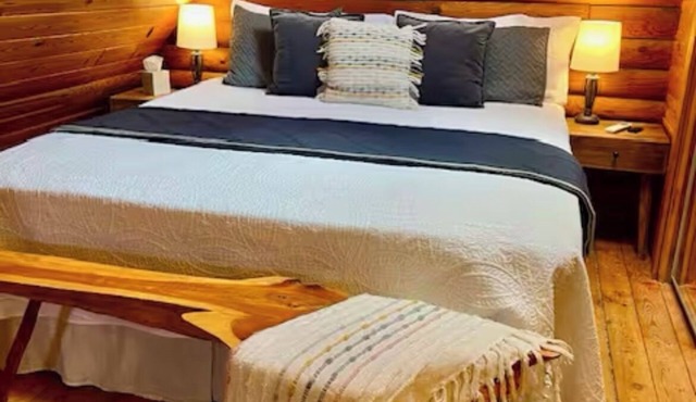 Cozy King Size Fireplace Log Cabin Apartment on Lookout Mountain