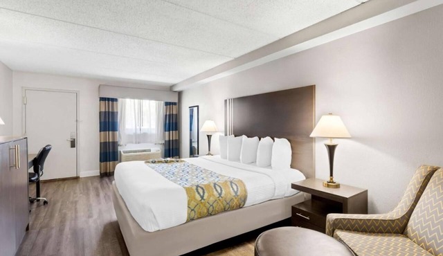 Cozy King Stay with Free Breakfast and Parking! Pets are Welcome!