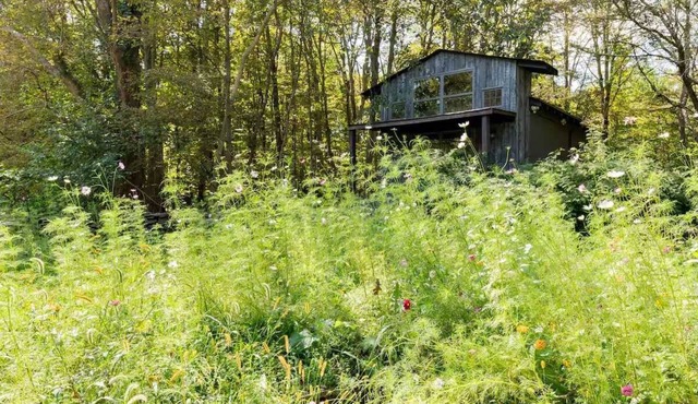 Cozy Kingston/Woodstock Cottage w/Outdoor Deck, Firepit, Jet Tub, Skylights