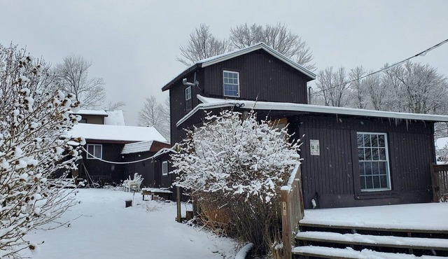 Cozy Lake Cottage with Elk Mountain 20 Minutes