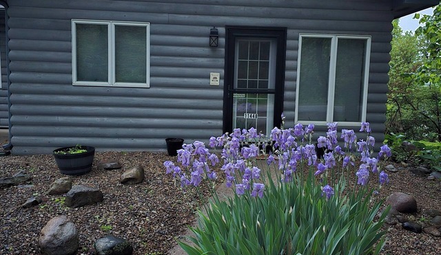 Cozy Lake Chapin Guest House, Two Bedroom, One Bath Quiet Peaceful Setting