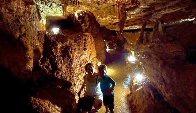 Cozy lake cottage close to everything Bull Shoals has to offer!