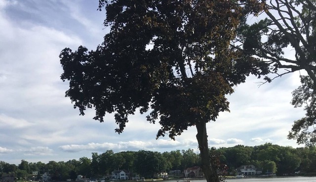 Cozy Lake Front House on Sylvan Lake