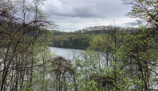 Cozy Lake View Cottag , Perfect for a Romantic Getaway! Laurel Highlands of Pa.