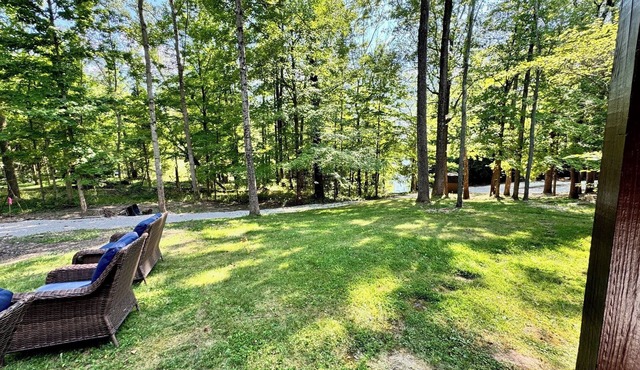 Cozy lakefront cabin with kayaks