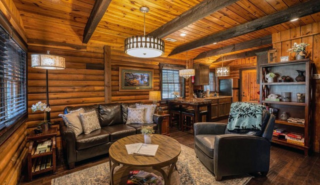 Cozy Lakefront Cabin on Lake Nantahala with Dock