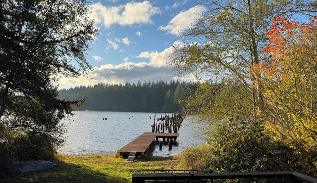 Cozy Lakefront Cabin "Swallows Nest"