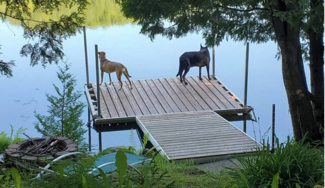 Cozy lakefront cottage - 15 minutes from Tremblant