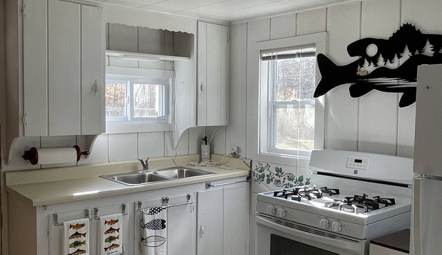 Cozy Lakefront Hilltop Cottage. Pet friendly. Queen Bed &2 Queen Futons Sleeps 6