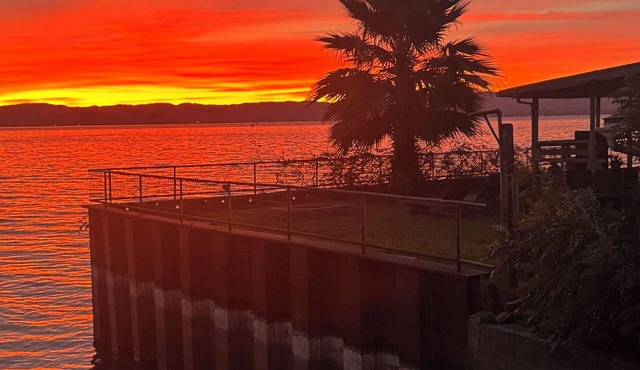 Cozy Lakefront Home with Amazing Lake Views from Huge Back Deck