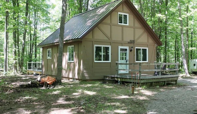 Cozy Lakes of the North Cabin with resort and snowmobile trail access!