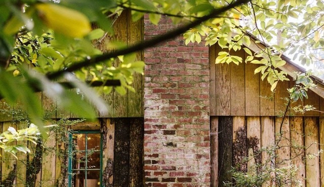 Cozy lakeside cabin! Rustic retreat w/private dock- Pet Friendly!