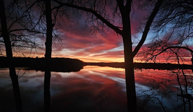 Cozy Lakeside Cabin, gorgeous view, relaxing sauna, fenced yard for dogs!