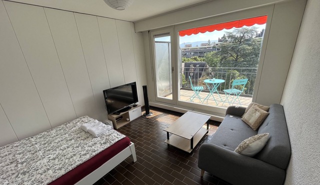 Cozy last floor apartment in Champel