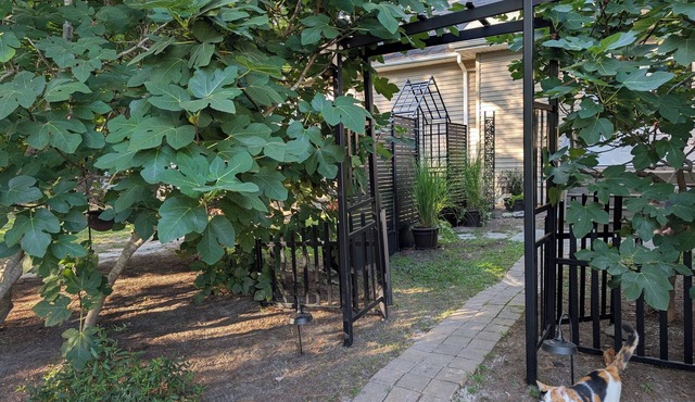 Cozy Lil' Charmer Near Bethany Beachn1-bedroom apartment with AC